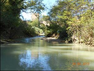 Barbo comune 8% TF Ibridi 11% vairone Alborella 4% 4% Cavedano 73% Composizione della fauna ittica LIMeco: VALORE MEDIO anno 2013 = 0,67 STATO = ELEVATO Non sono state evidenziate criticità nella