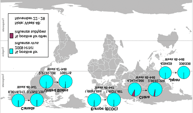 In questa seconda mappa è indicata la circolazione contemporanea dell influenza 2009 H1N1 e stagionale a livello mondiale: persiste l assenza di