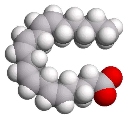 Struttura e proprietà fisiche degli acidi grassi (5)