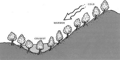 Conformazione del terreno Aria fredda + densa +