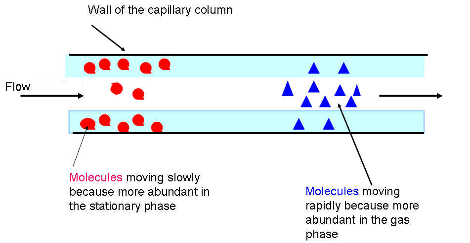 Colonna di separazione Impaccate: maggiore capacità di carico, usate quando non si devono separare molti analiti Capillari: maggiore efficienza, usate per la separazione di numerosi analiti NIRA usa