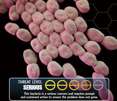 staphylococci coagulasi negativi, enterococcus spec. Perché l acinetobacter baumannii?