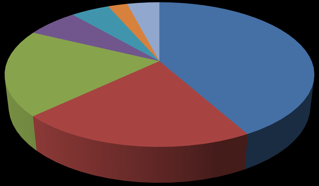 Sesso e nazionalità 44% 56% Maschi Femmine Turchia 7%