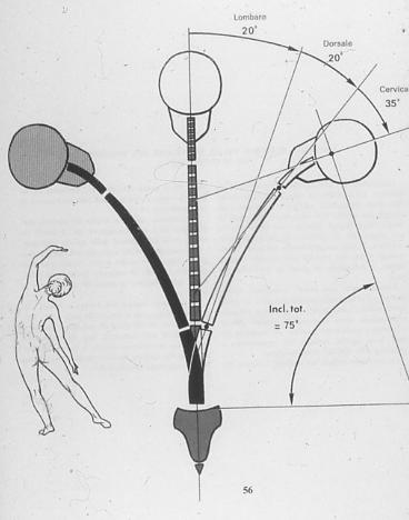 COLONNA VERTEBRALE