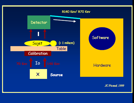 COMPOSIZIONE CORPOREA: QUALITA DELLA CRESCITA Tre compartimenti DUAL ENERGY x-ray