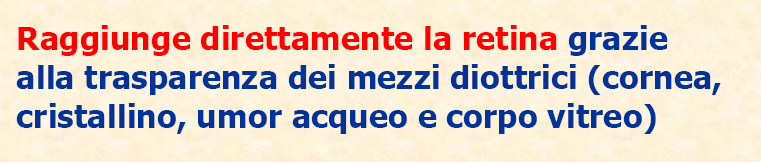 Da C. Grandi - ISPESL Lo spettro d azione S(λ) 180 400 nm Lo spettro d azione S(λ) 180 400 nm S(λ) 1 0,1 0,01 0,001 0,0001 Spettro d'azione per cute ed occhio alla radiazione UV λ (nm) 0,00001 180