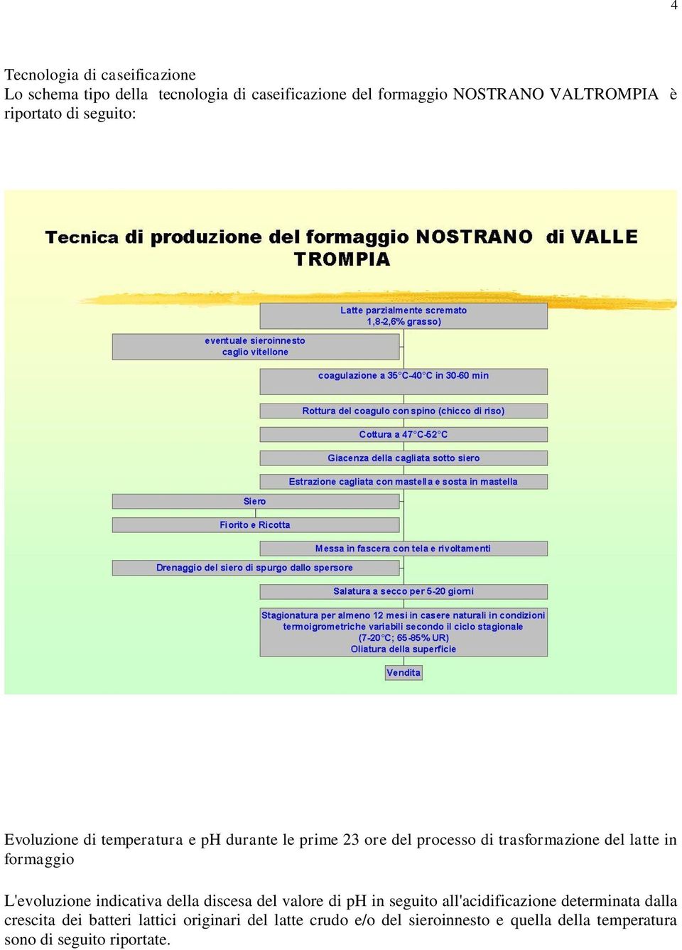 in formaggio L'evoluzione indicativa della discesa del valore di ph in seguito all'acidificazione determinata dalla