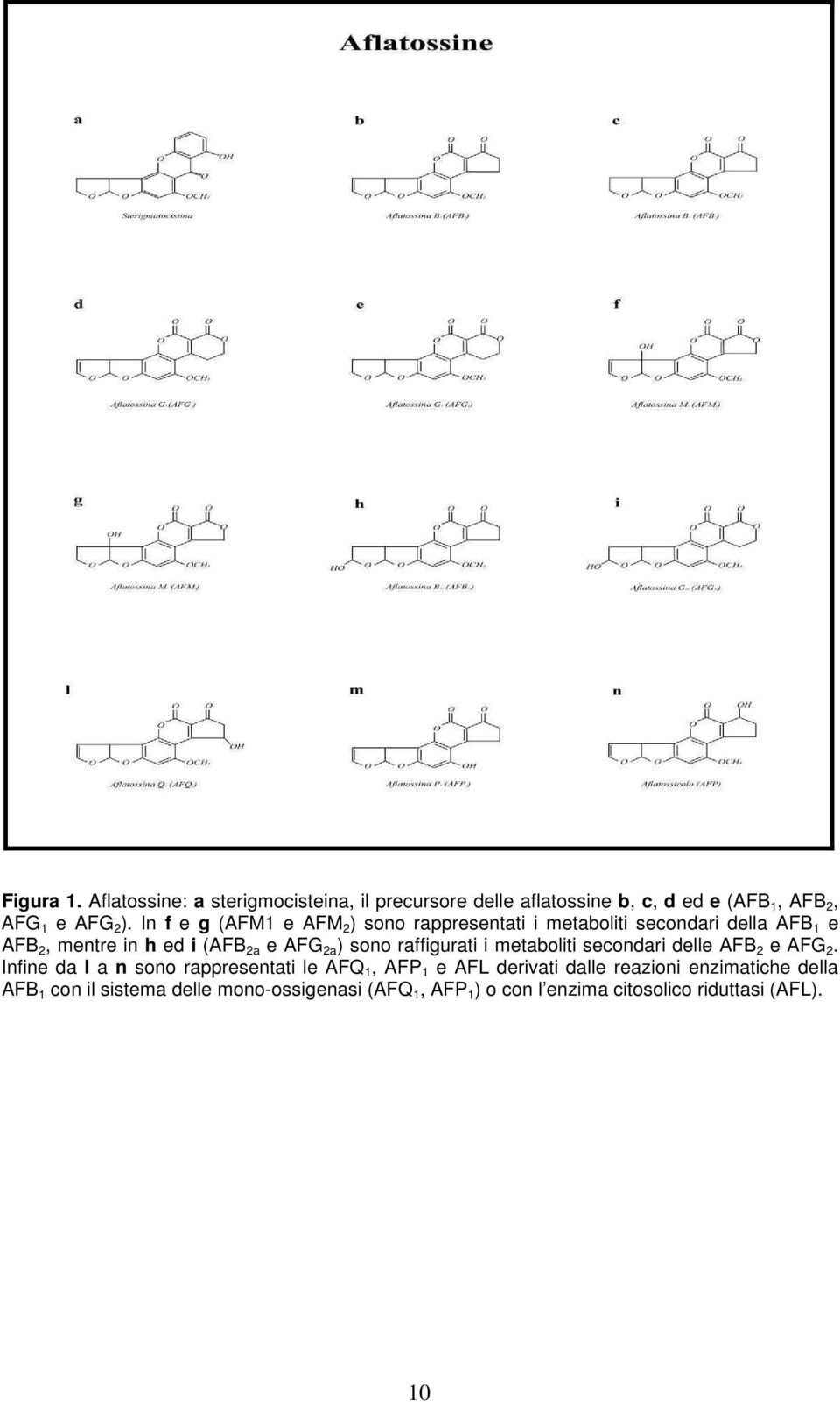 sono raffigurati i metaboliti secondari delle AFB 2 e AFG 2.