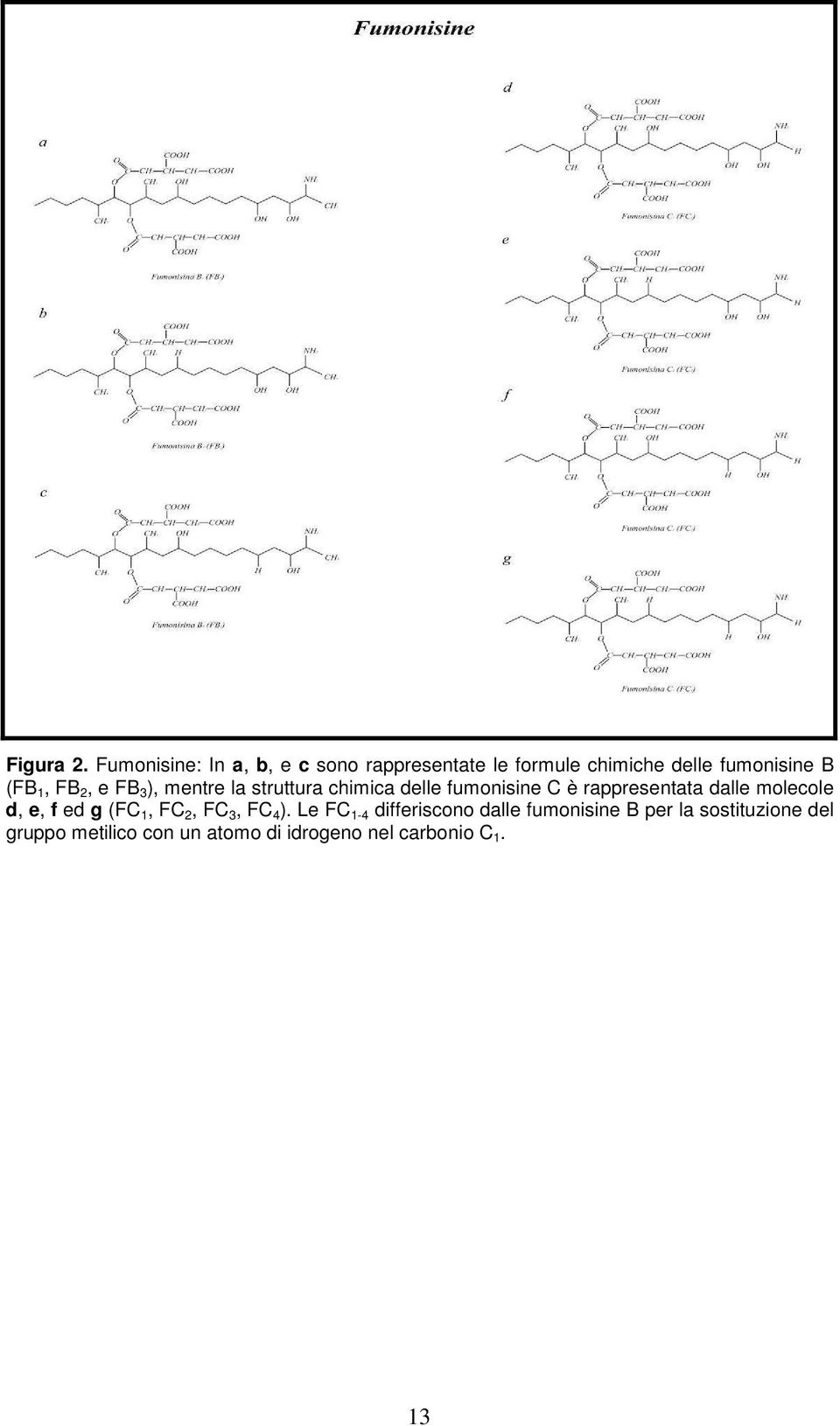 FB 2, e FB 3 ), mentre la struttura chimica delle fumonisine C è rappresentata dalle