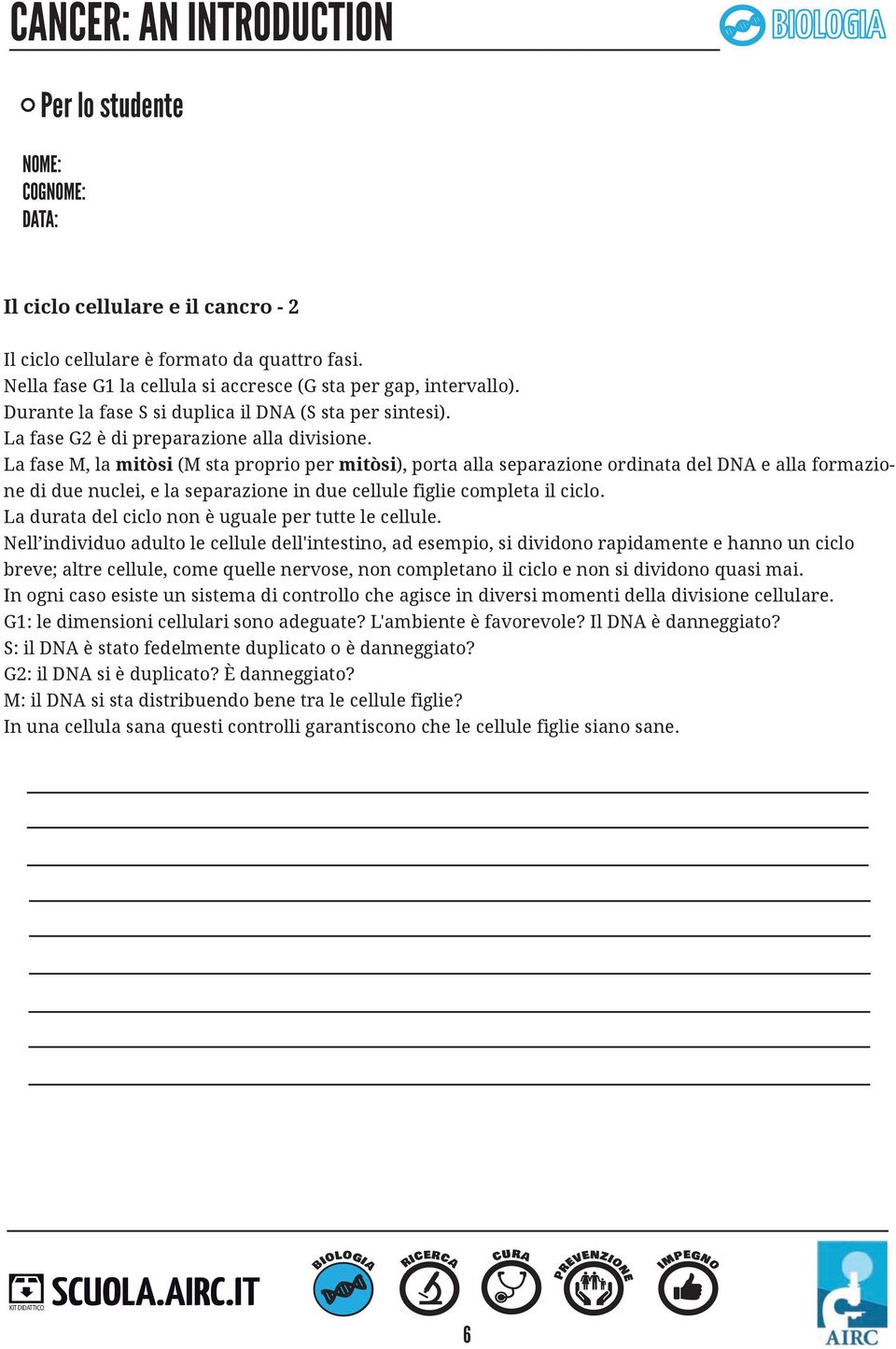 La fase M, la mitòsi (M sta proprio per mitòsi), porta alla separazione ordinata del DNA e alla formazione di due nuclei, e la separazione in due cellule figlie completa il ciclo.