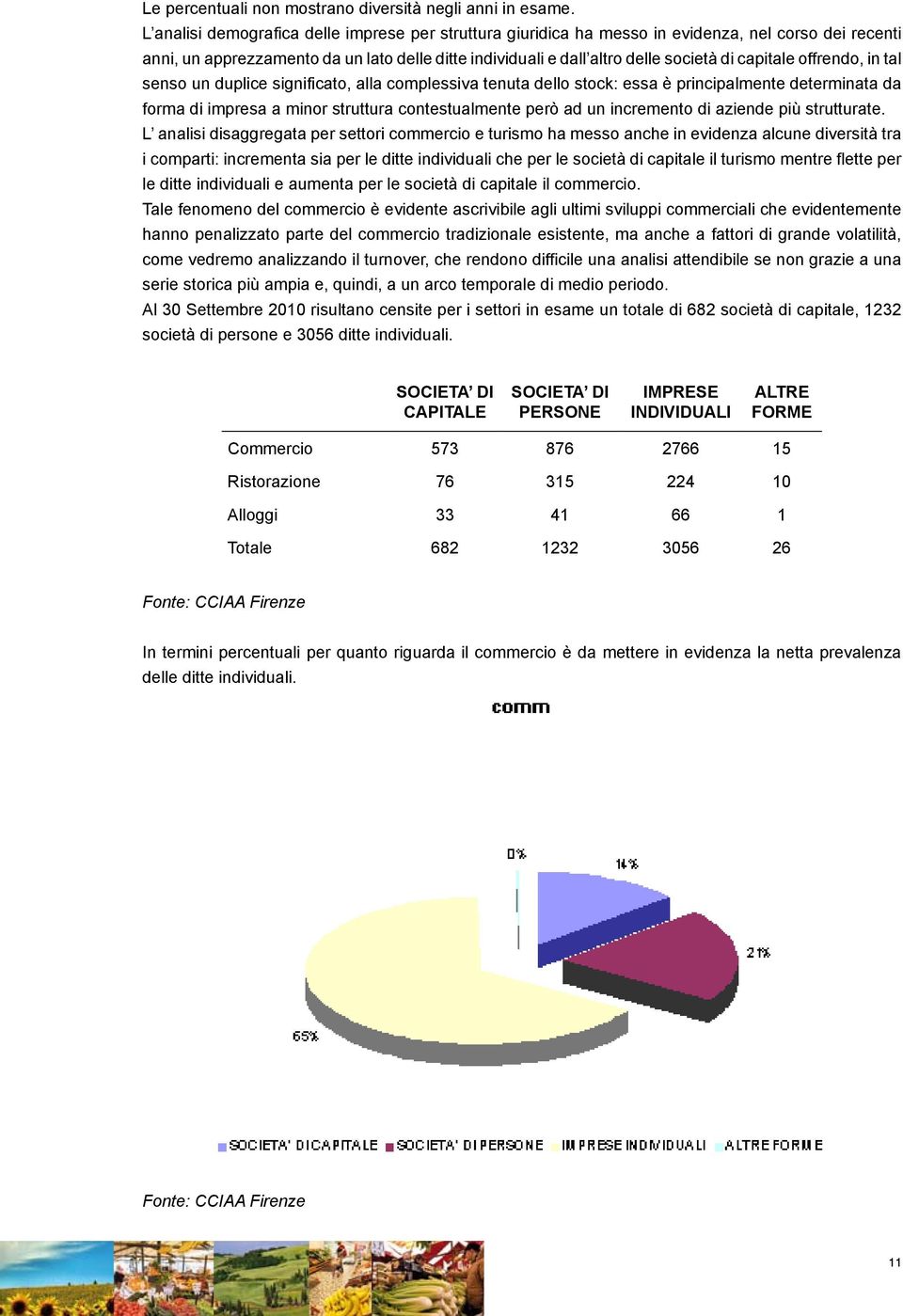 capitale offrendo, in tal senso un duplice significato, alla complessiva tenuta dello stock: essa è principalmente determinata da forma di impresa a minor struttura contestualmente però ad un