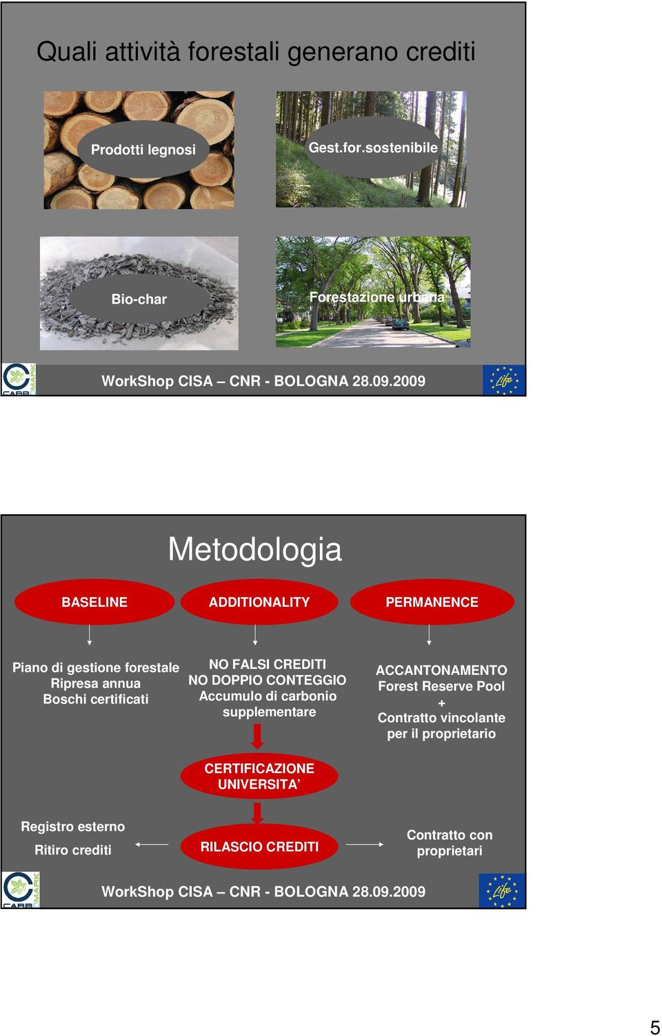 sostenibile Bio-char Forestazione urbana Metodologia BASELINE ADDITIONALITY PERMANENCE Piano di gestione forestale