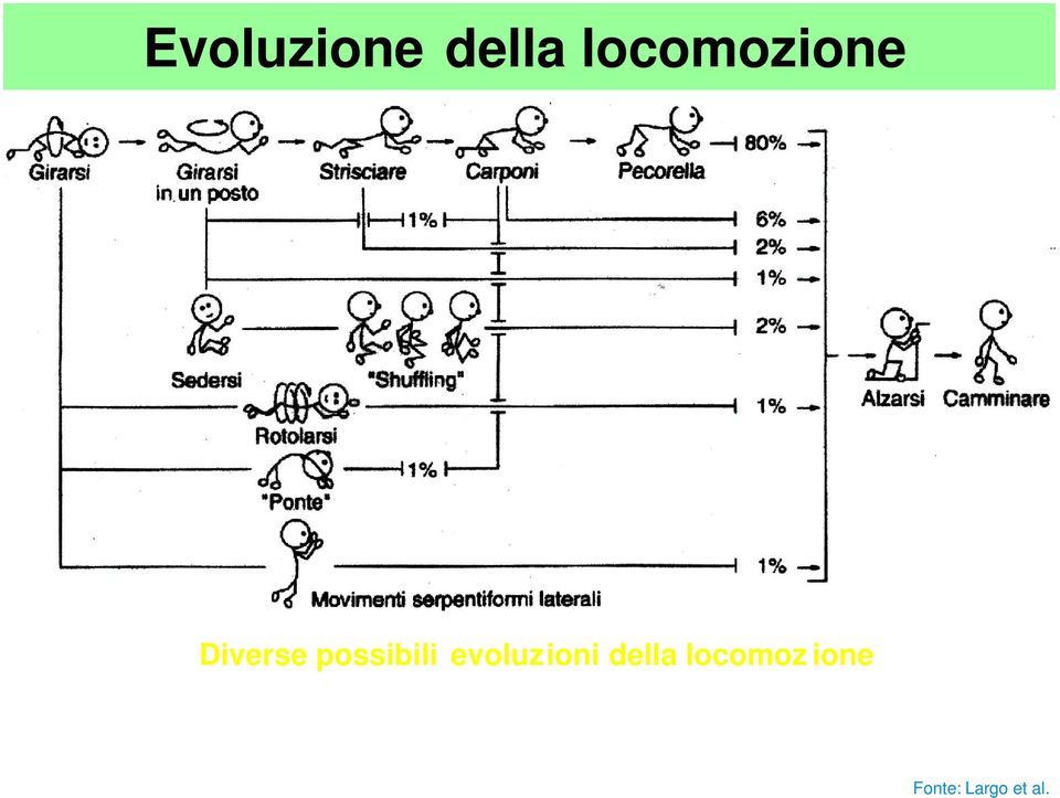 possibili evoluzioni