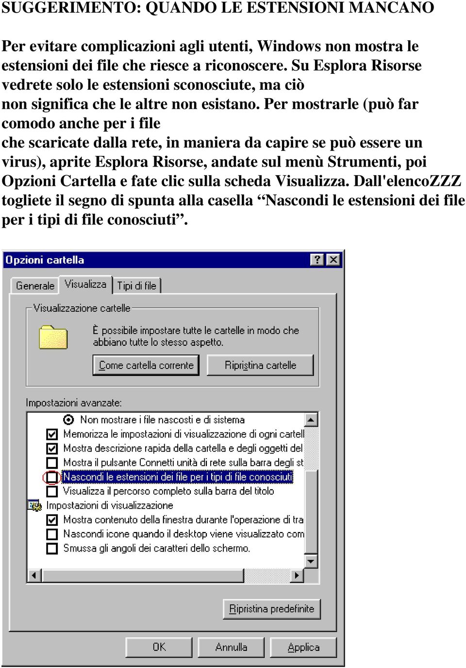 Per mostrarle (può far comodo anche per i file che scaricate dalla rete, in maniera da capire se può essere un virus), aprite Esplora Risorse, andate