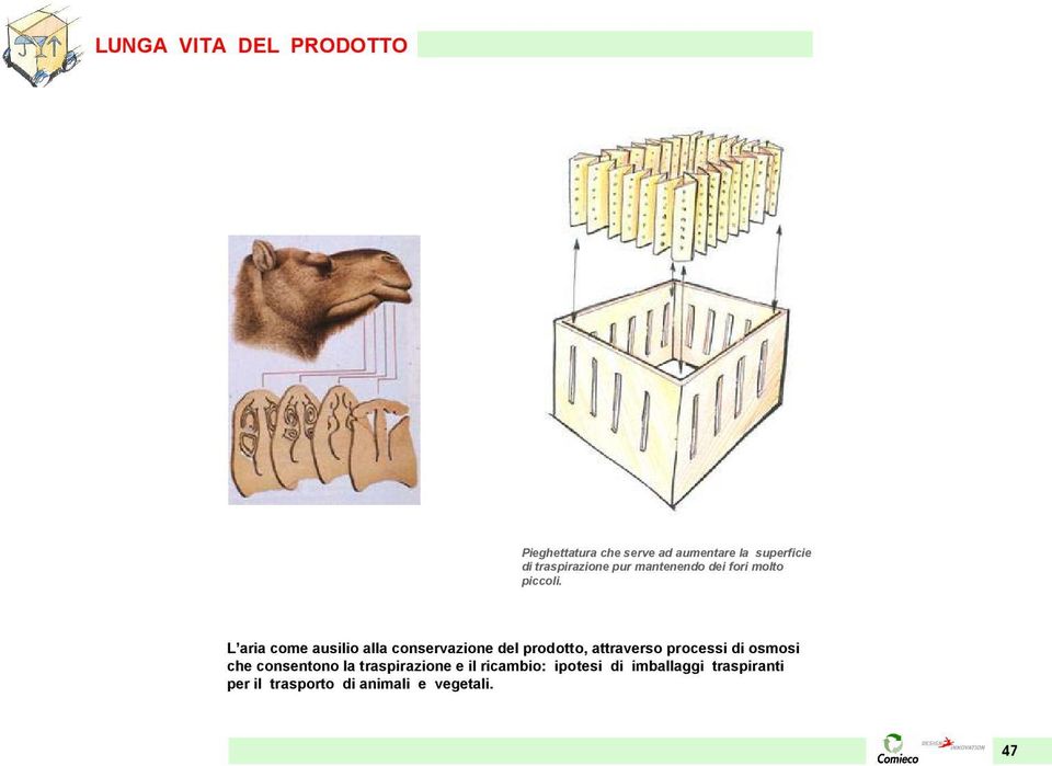 L aria come ausilio alla conservazione del prodotto, attraverso processi di osmosi