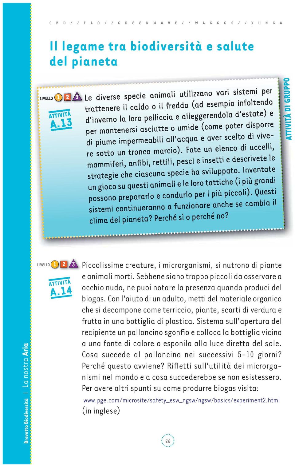 Con l aiuto di un adulto, metti del materiale organico che si decompone come terriccio, piante, scarti di verdura e frutta in una bottiglia di plastica.