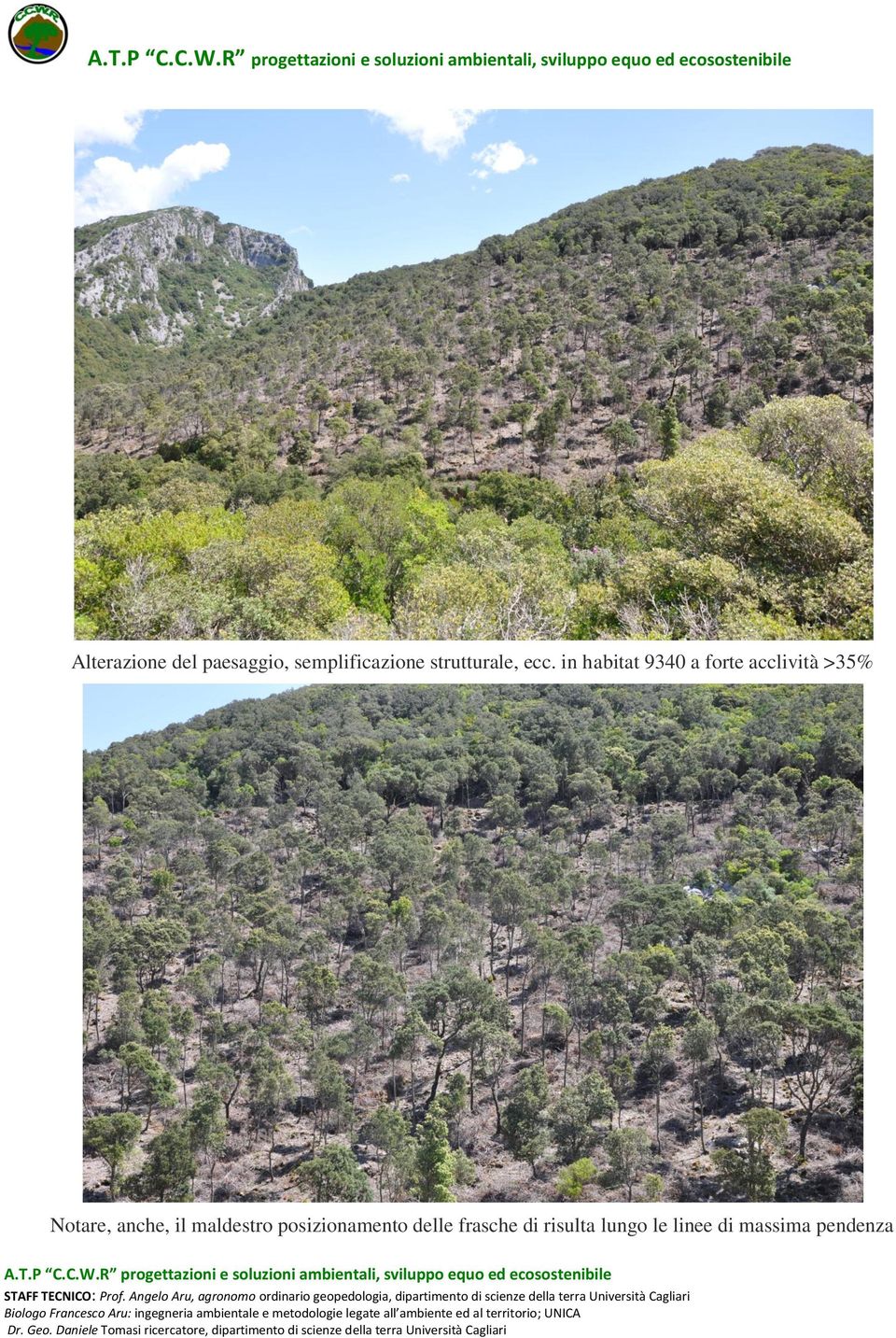 in habitat 9340 a forte acclività >35% Notare,