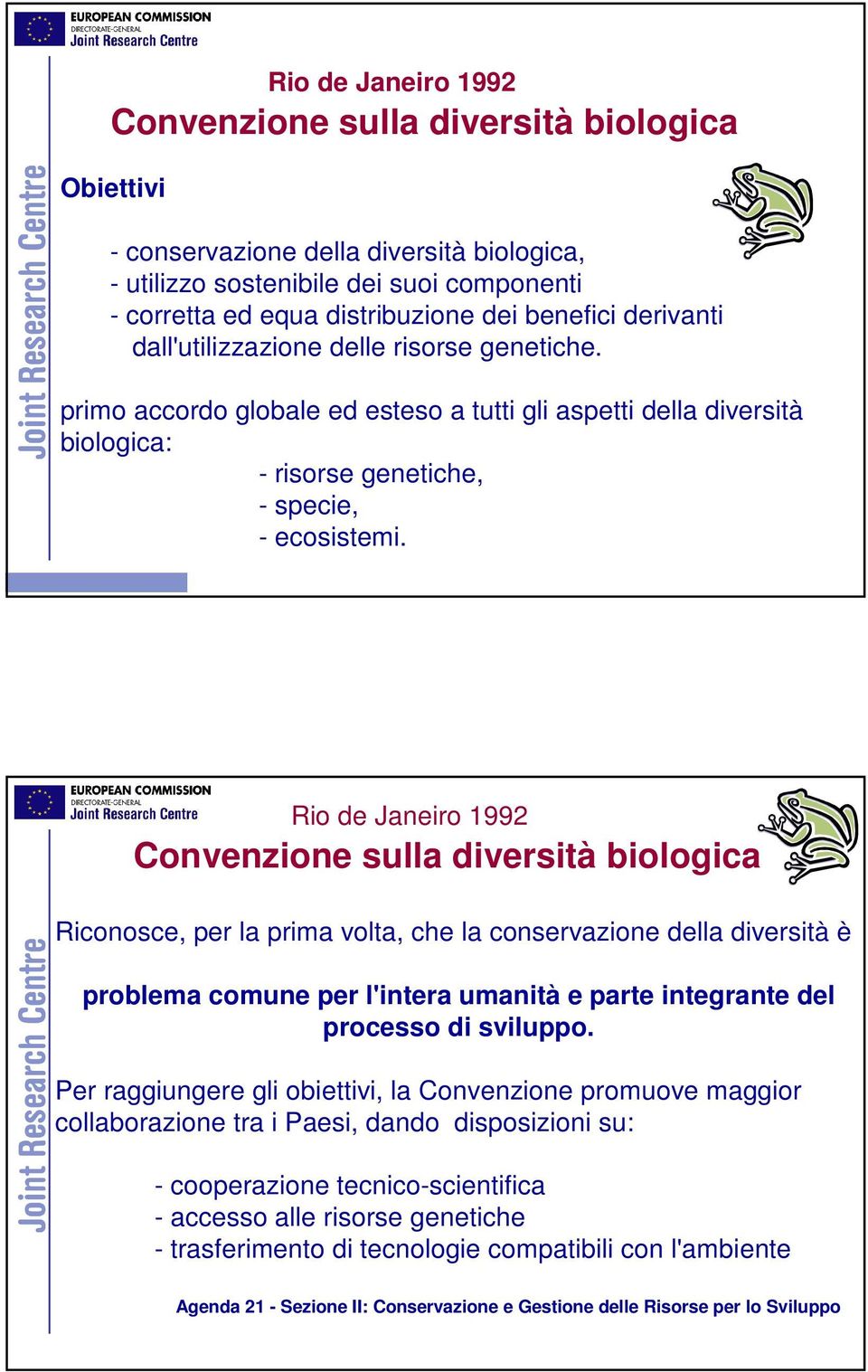 Rio de Janeiro 1992 Convenzione sulla diversità biologica Riconosce, per la prima volta, che la conservazione della diversità è problema comune per l'intera umanità e parte integrante del processo di