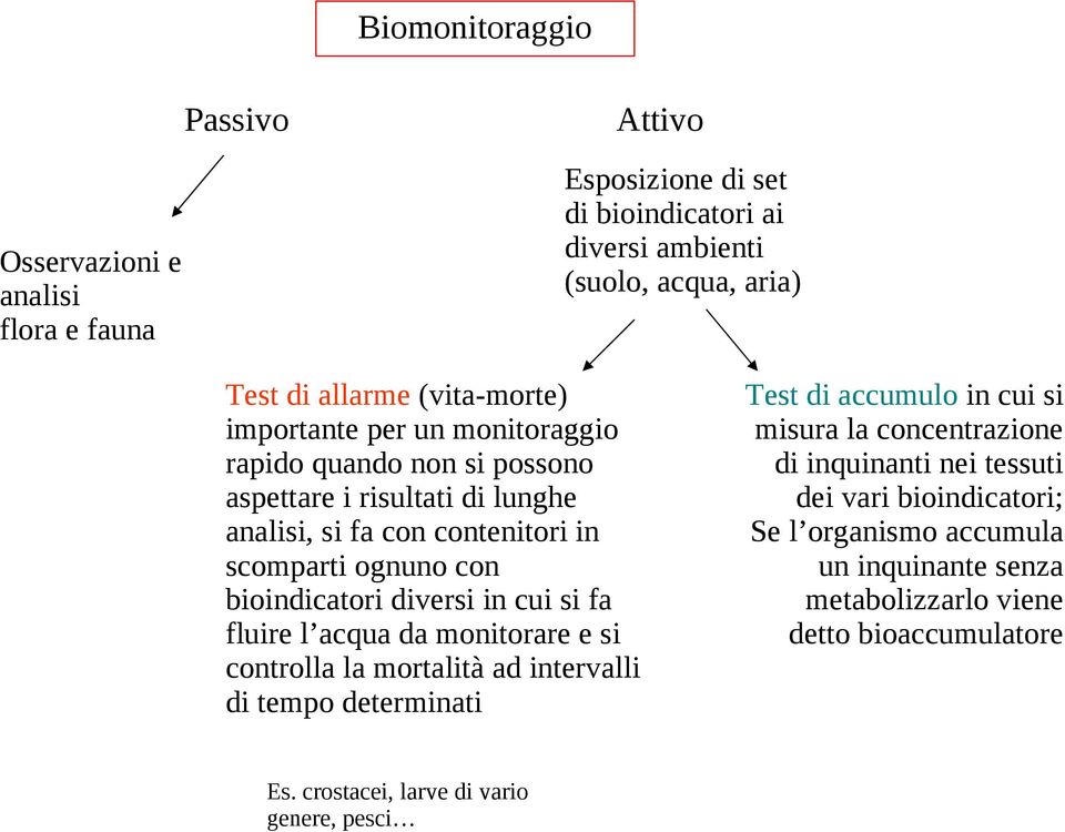 bioindicatori diversi in cui si fa fluire l acqua da monitorare e si controlla la mortalità ad intervalli di tempo determinati Test di accumulo in cui si misura la