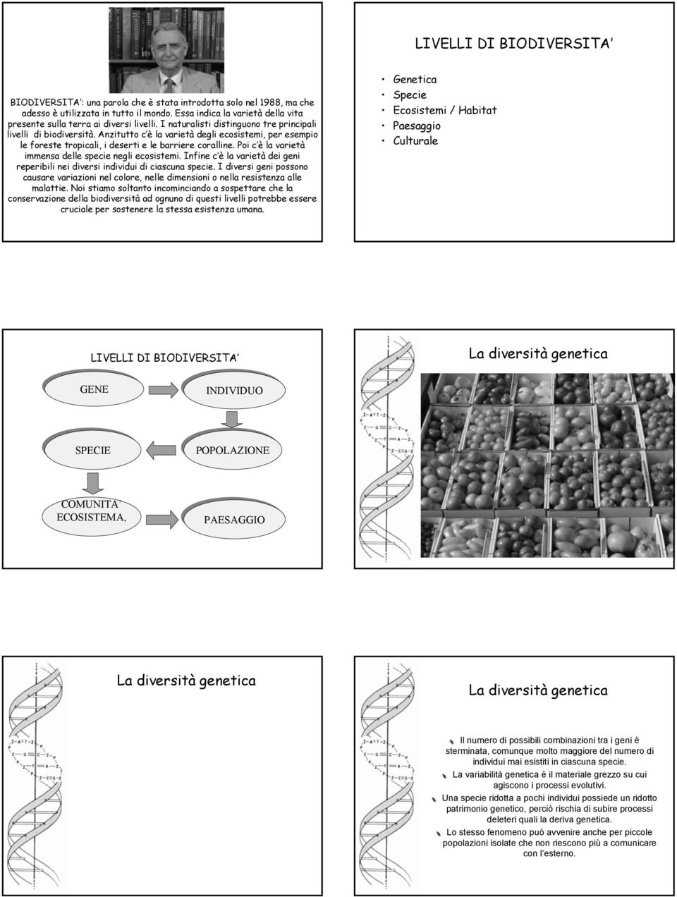 Anzitutto c è la varietà degli ecosistemi, per esempio le foreste tropicali, i deserti e le barriere coralline. Poi c è la varietà immensa delle specie negli ecosistemi.