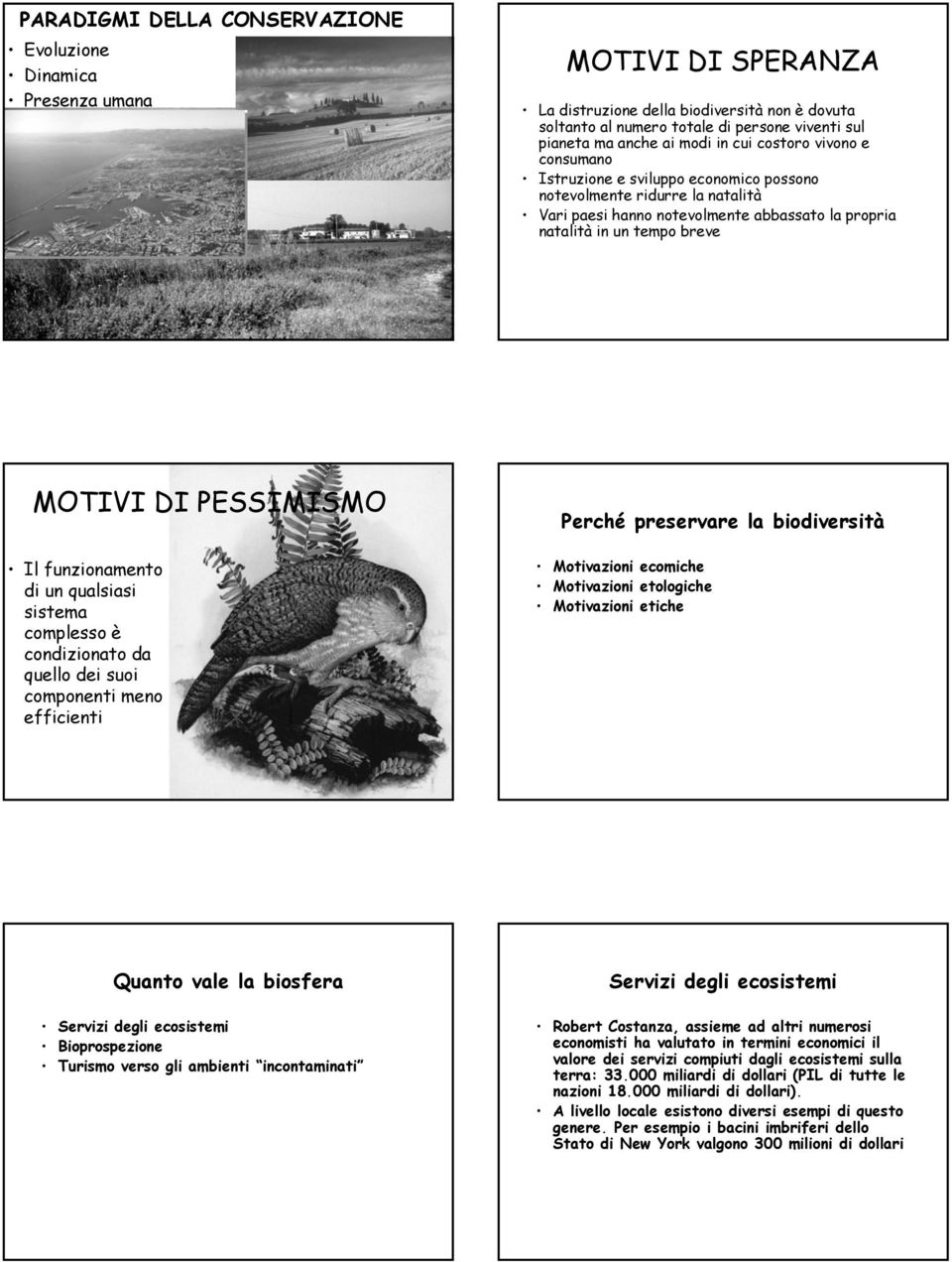 PESSIMISMO Il funzionamento di un qualsiasi sistema complesso è condizionato da quello dei suoi componenti meno efficienti Perché preservare la biodiversità Motivazioni ecomiche Motivazioni