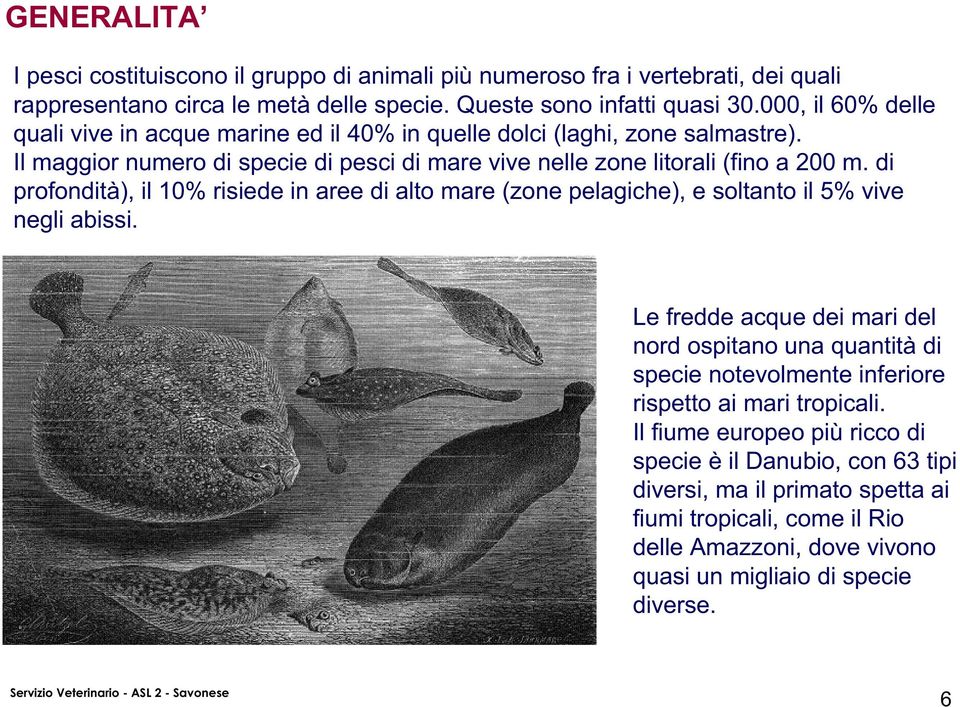 di profondità), il 10% risiede in aree di alto mare (zone pelagiche), e soltanto il 5% vive negli abissi.