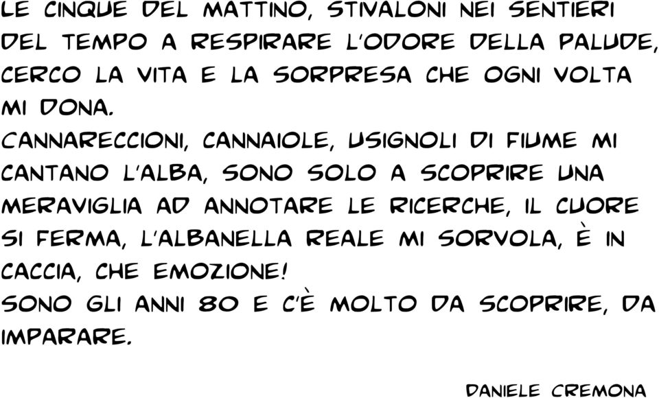 Cannareccioni, cannaiole, usignoli di fiume mi cantano l'alba, sono solo a scoprire una meraviglia ad