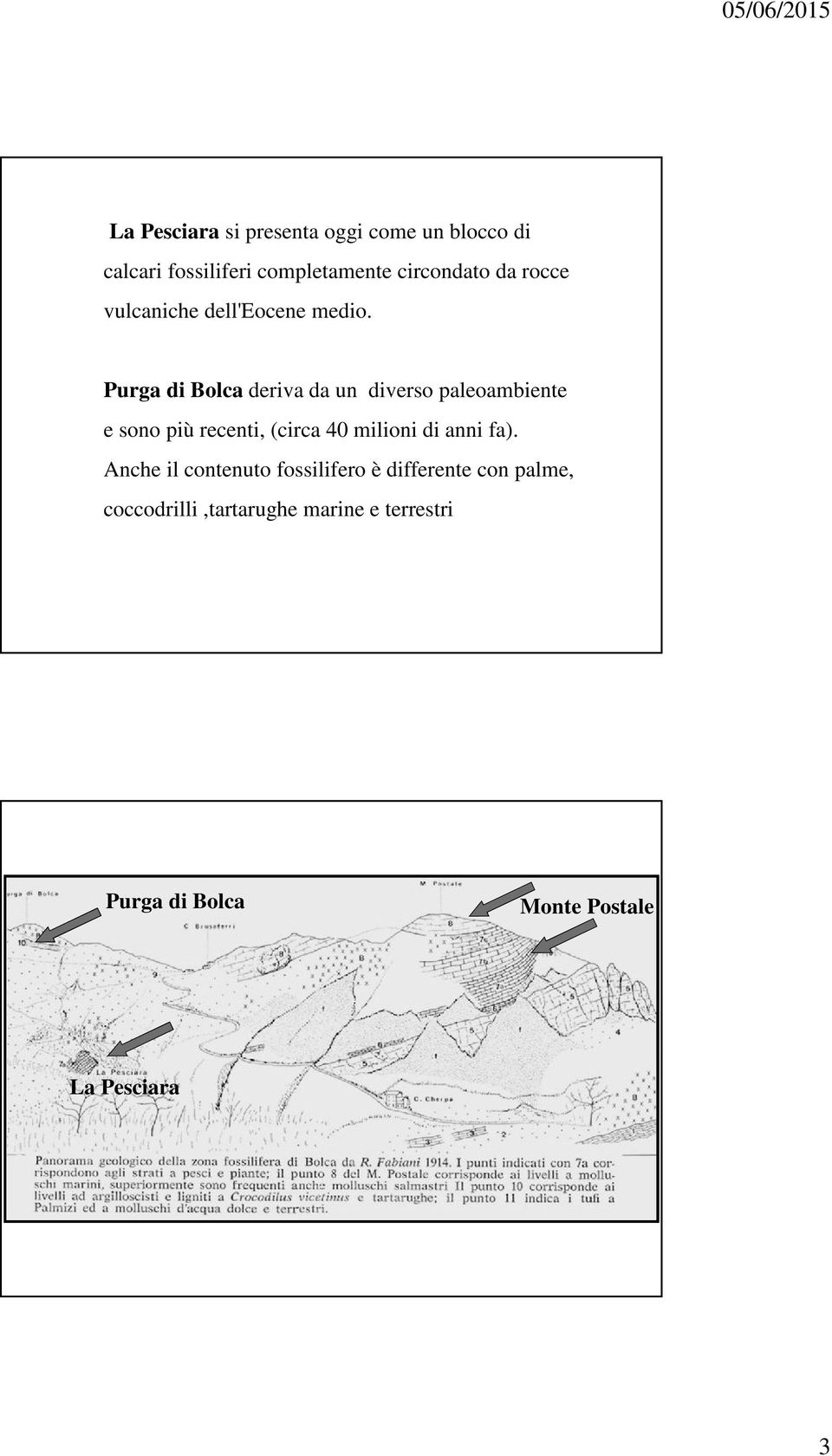 Purga di Bolca deriva da un diverso paleoambiente e sono più recenti, (circa 40 milioni di