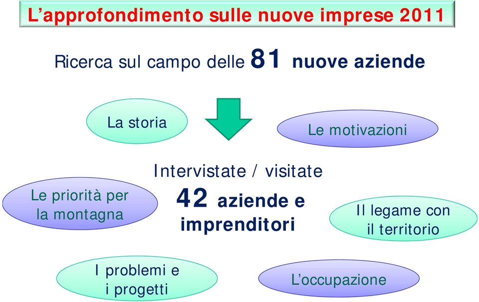 per la montagna Intervistate / visitate 42 aziende e