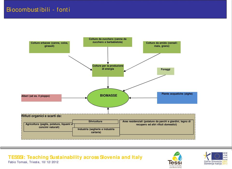 il pioppo) BIOMASSE Piante acquatiche (alghe) Rifiuti organici e scarti da: Agricoltura (paglia, potature, liquami e concimi