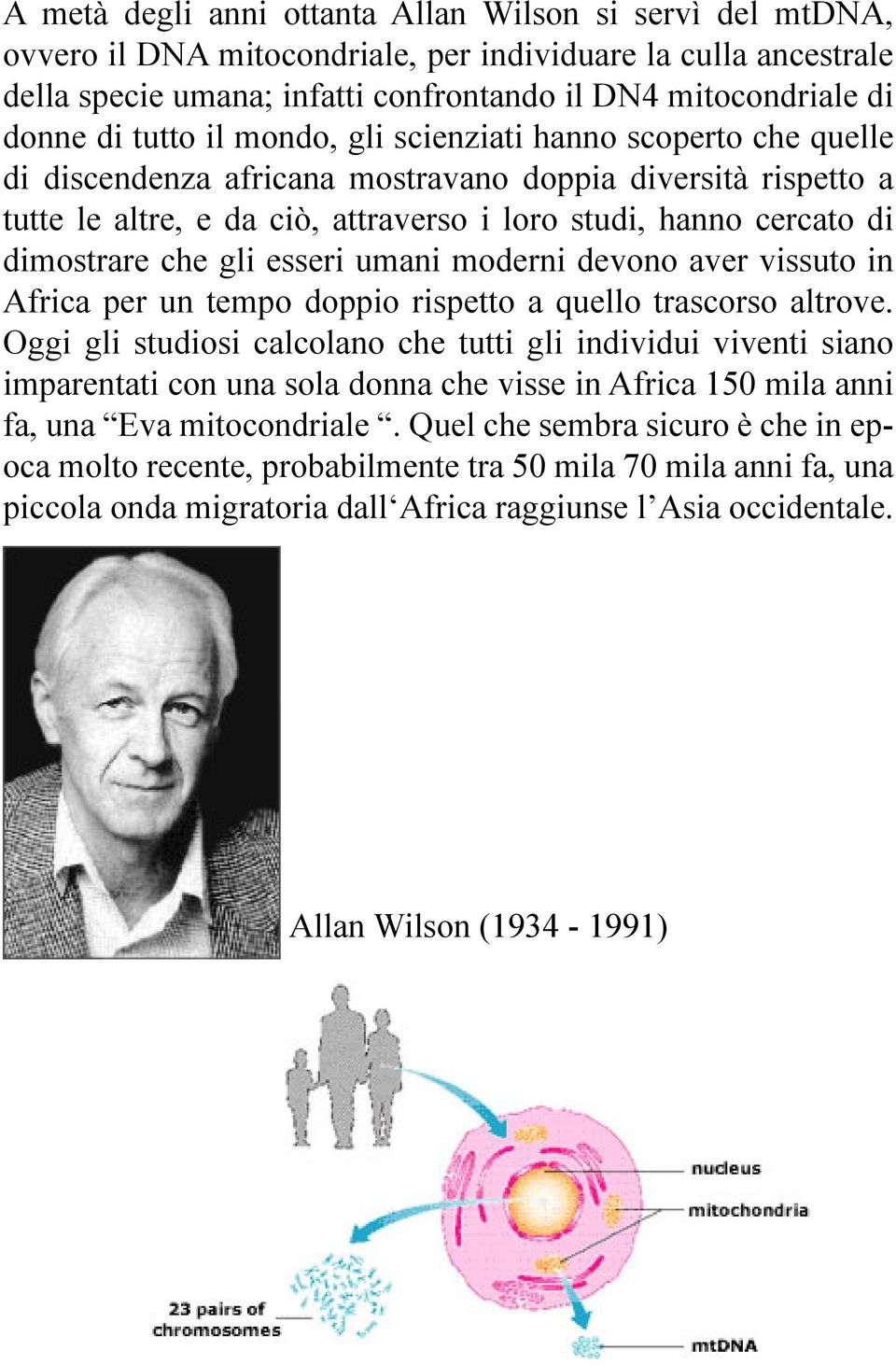 che gli esseri umani moderni devono aver vissuto in Africa per un tempo doppio rispetto a quello trascorso altrove.