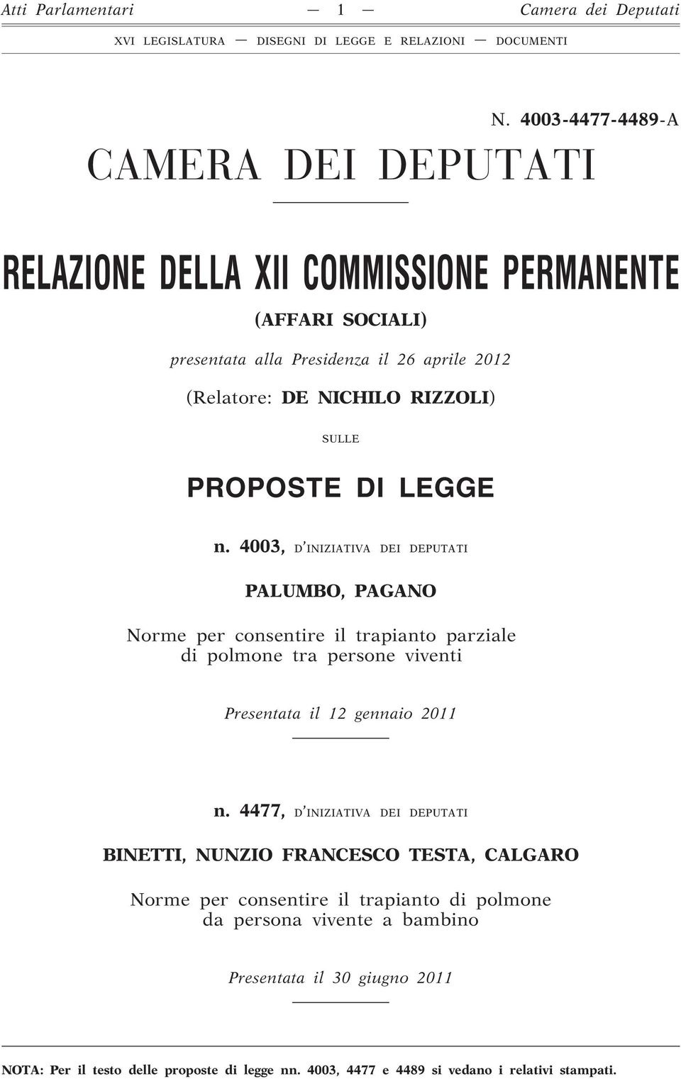 RIZZOLI) SULLE PROPOSTE DI LEGGE n.