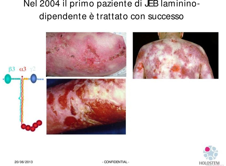 lamininodipendente