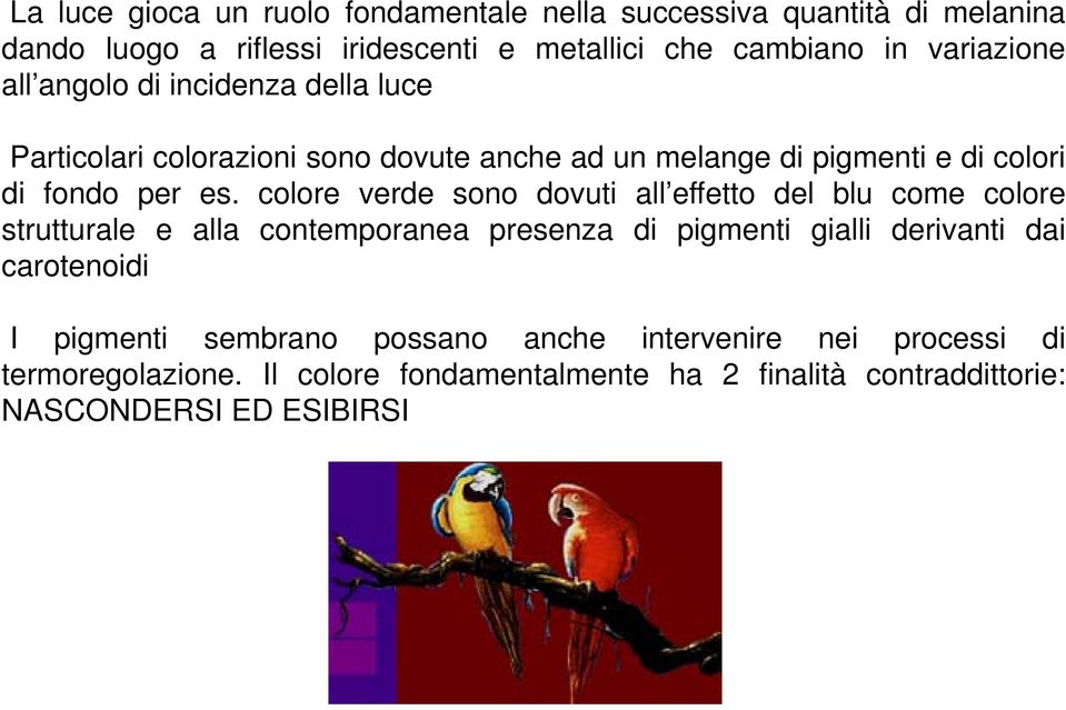 colore verde sono dovuti all effetto del blu come colore strutturale e alla contemporanea presenza di pigmenti gialli derivanti dai carotenoidi I