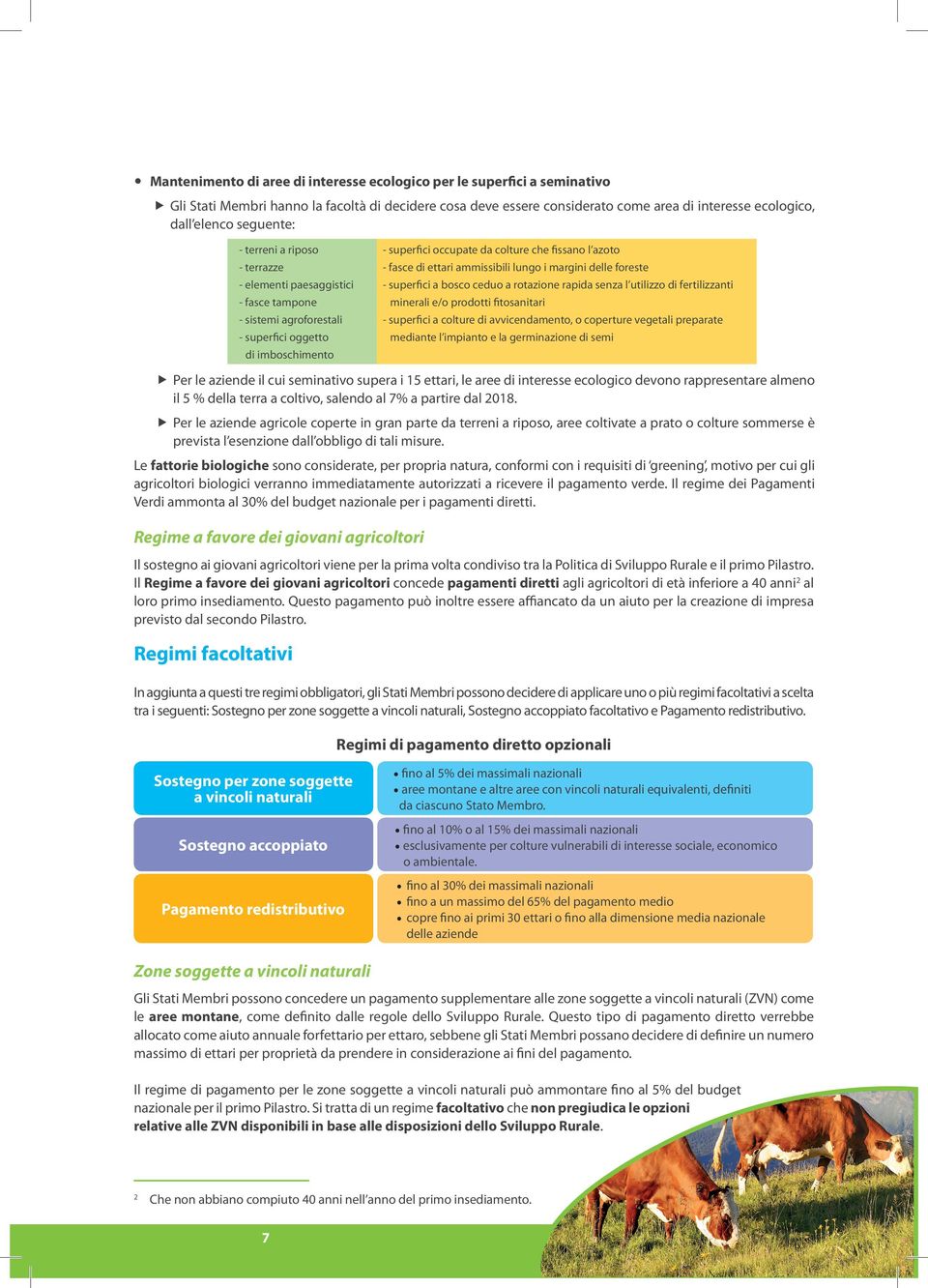 fasce di ettari ammissibili lungo i margini delle foreste - superfici a bosco ceduo a rotazione rapida senza l utilizzo di fertilizzanti minerali e/o prodotti fitosanitari - superfici a colture di