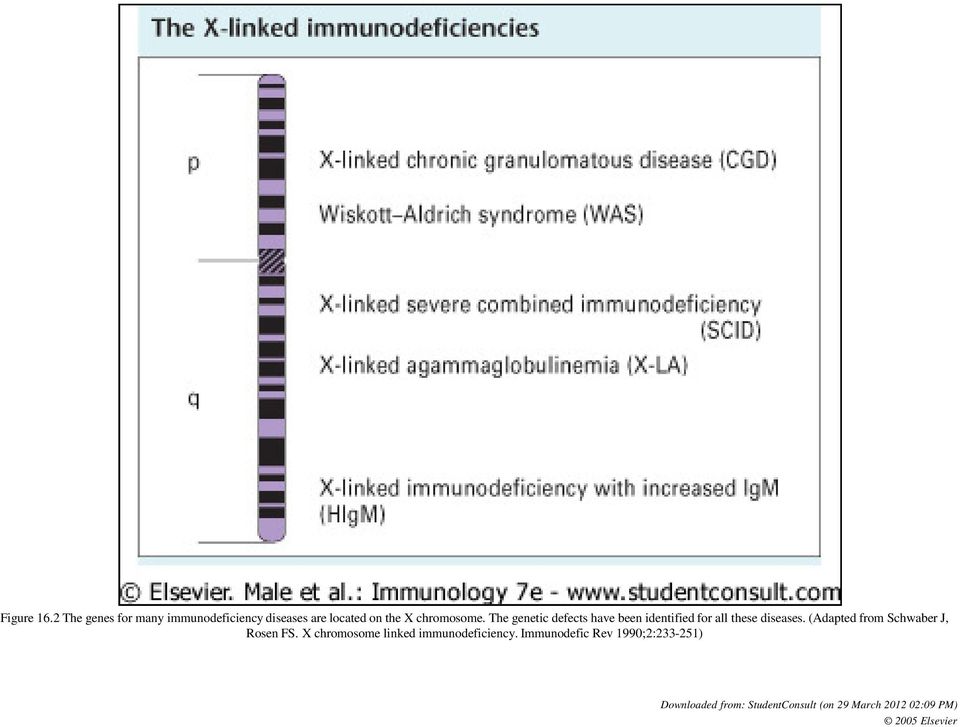 The genetic defects have been identified for all these diseases.