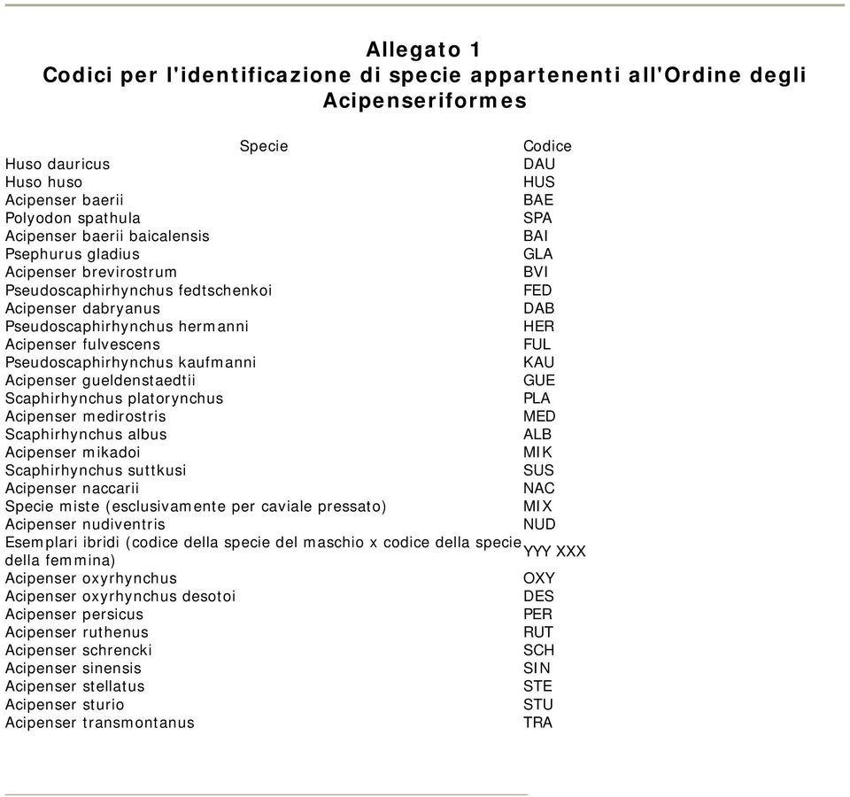 Pseudoscaphirhynchus kaufmanni KAU Acipenser gueldenstaedtii GUE Scaphirhynchus platorynchus PLA Acipenser medirostris MED Scaphirhynchus albus ALB Acipenser mikadoi MIK Scaphirhynchus suttkusi SUS