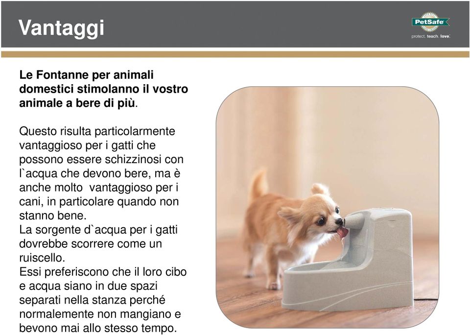 anche molto vantaggioso per i cani, in particolare quando non stanno bene.