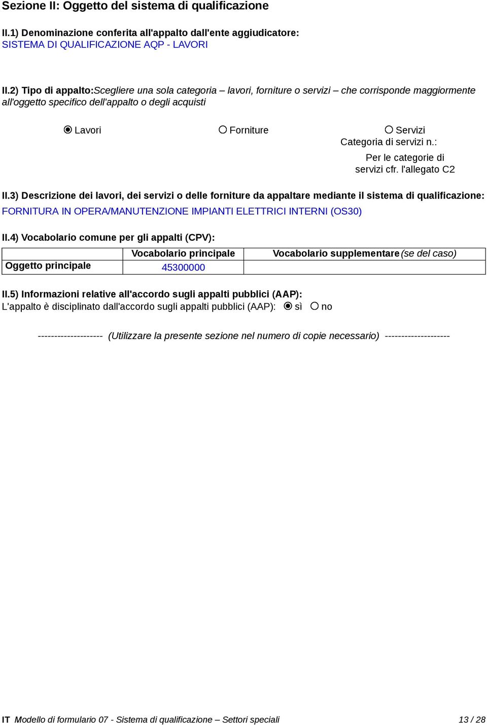 45300000 IT Modello di formulario 07 -