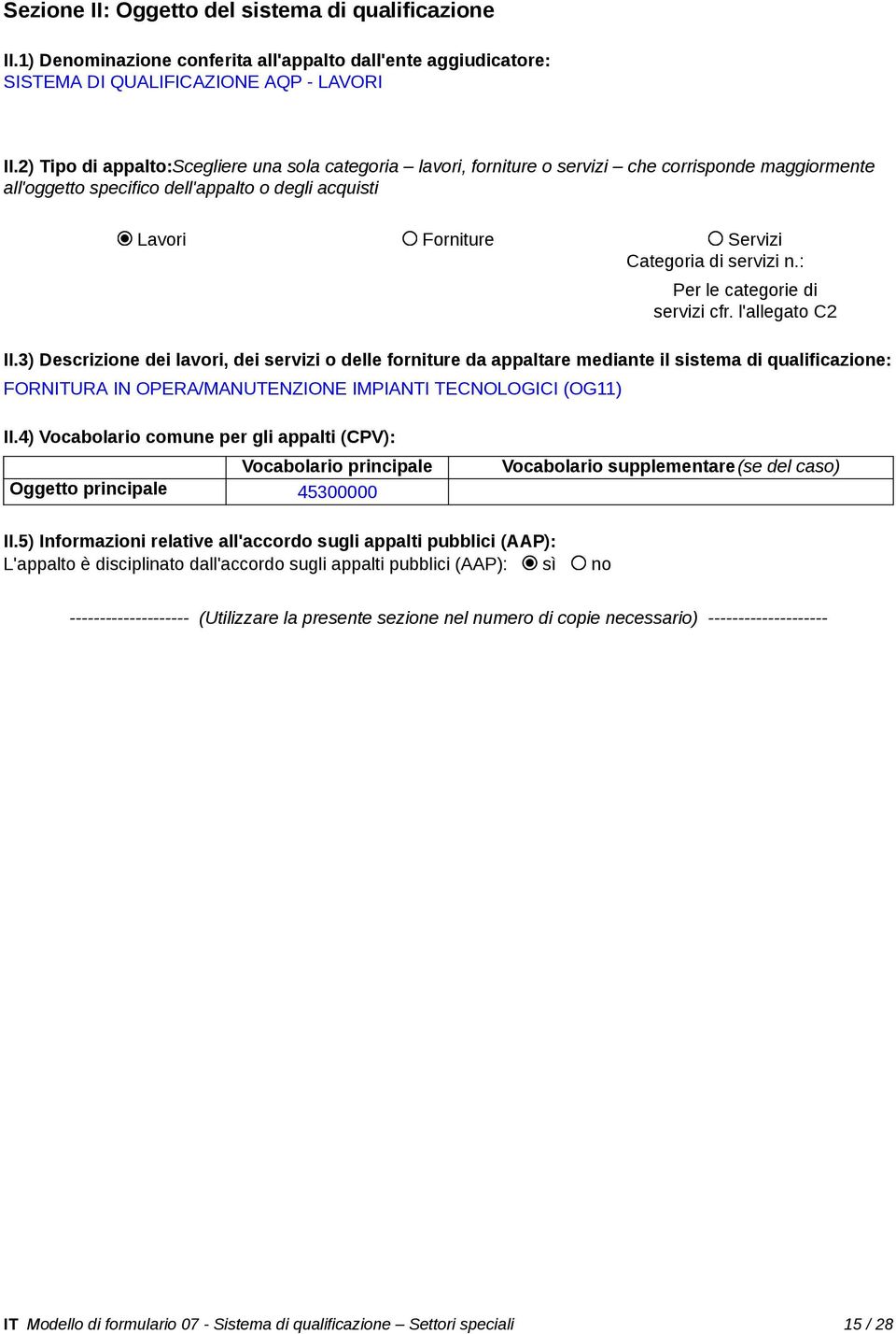 45300000 IT Modello di formulario 07 -