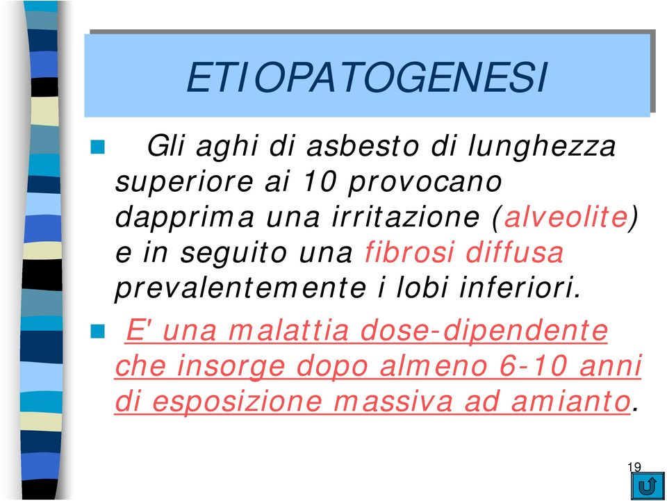 fibrosi diffusa prevalentemente i lobi inferiori.