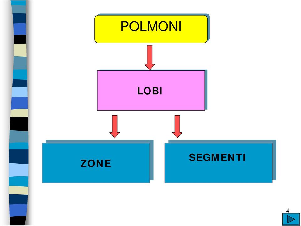 SEGMENTI