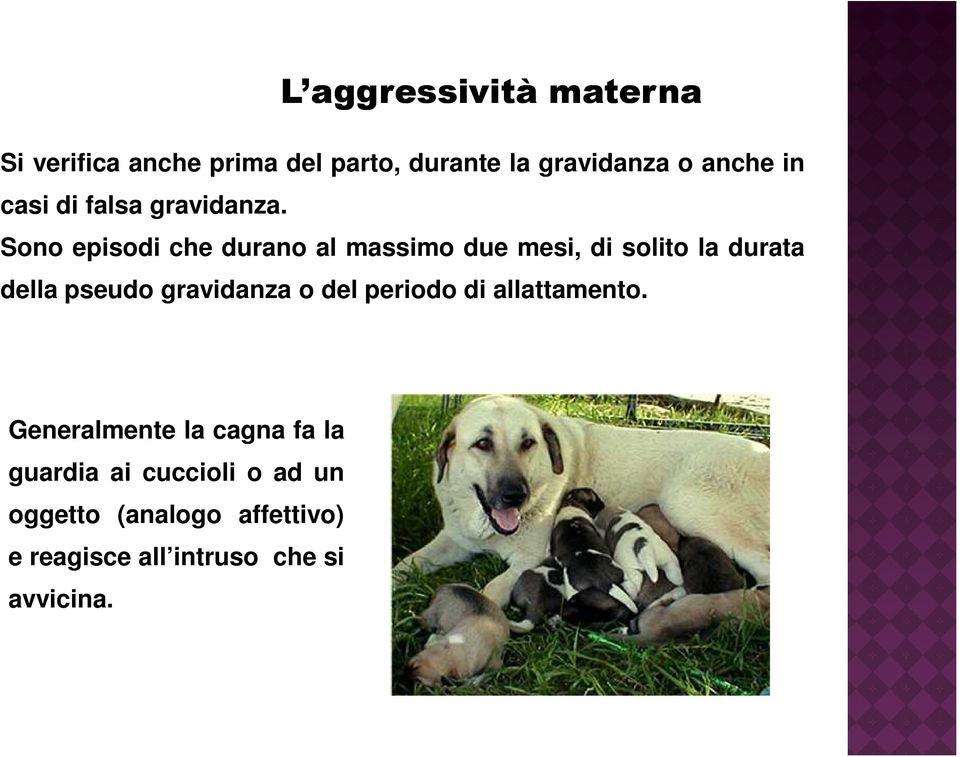 L aggressività materna Sono episodi che durano al massimo due mesi, di solito la durata