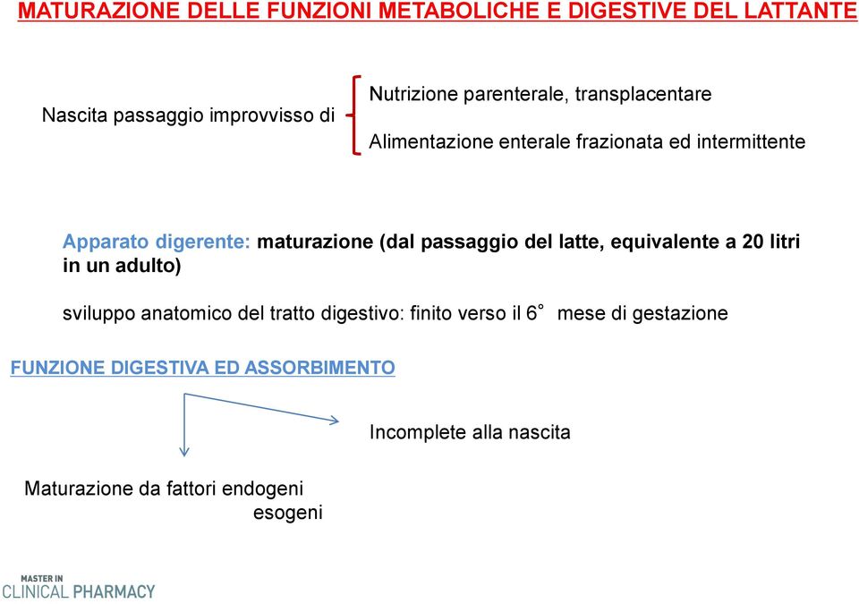 (dal passaggio del latte, equivalente a 20 litri in un adulto) sviluppo anatomico del tratto digestivo: finito