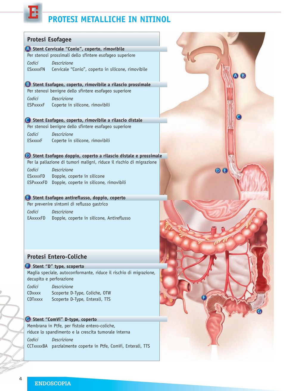 Stent Esofageo, coperto, rimovibile a rilascio distale Per stenosi benigne dello sfintere esofageo superiore Codici Descrizione ESxxxxF Coperte in silicone, rimovibili Stent Esofageo doppio, coperto