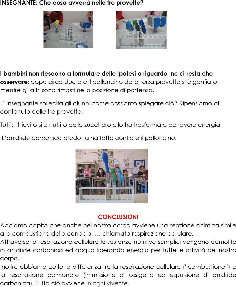 posizione di partenza. L insegnante sollecita gli alunni come possiamo spiegare ciò? Ripensiamo al contenuto delle tre provette.