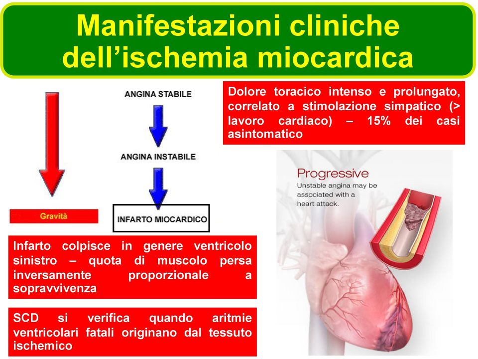 colpisce in genere ventricolo sinistro quota di muscolo persa inversamente proporzionale a