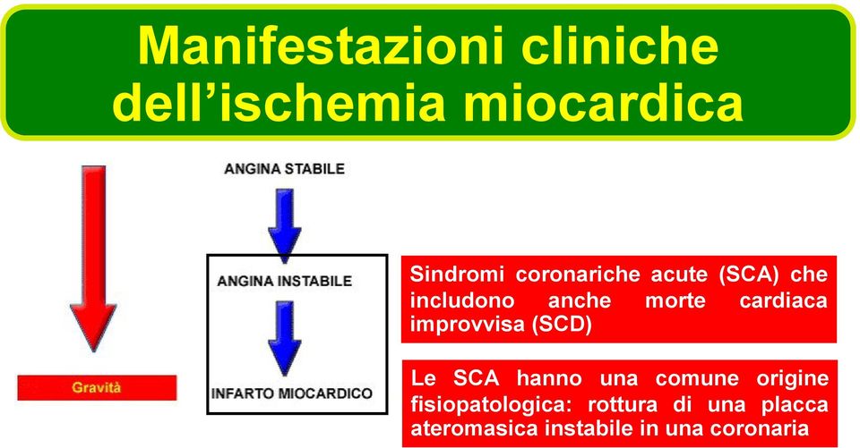 improvvisa (SCD) Le SCA hanno una comune origine