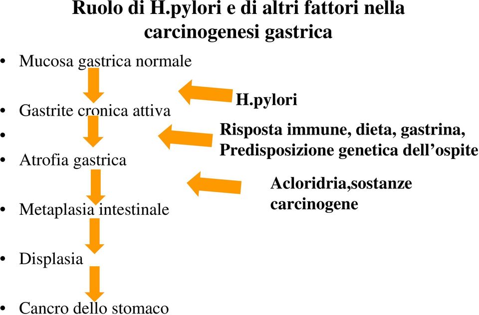 normale Gastrite cronica attiva Atrofia gastrica Metaplasia intestinale H.