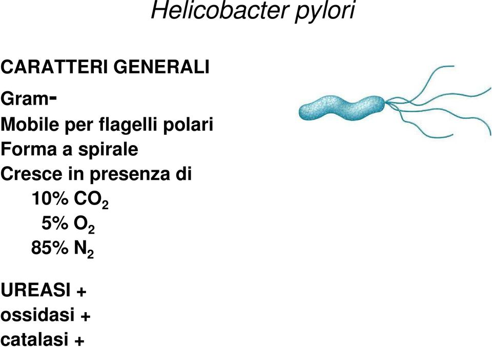 spirale Cresce in presenza di 10% CO 2